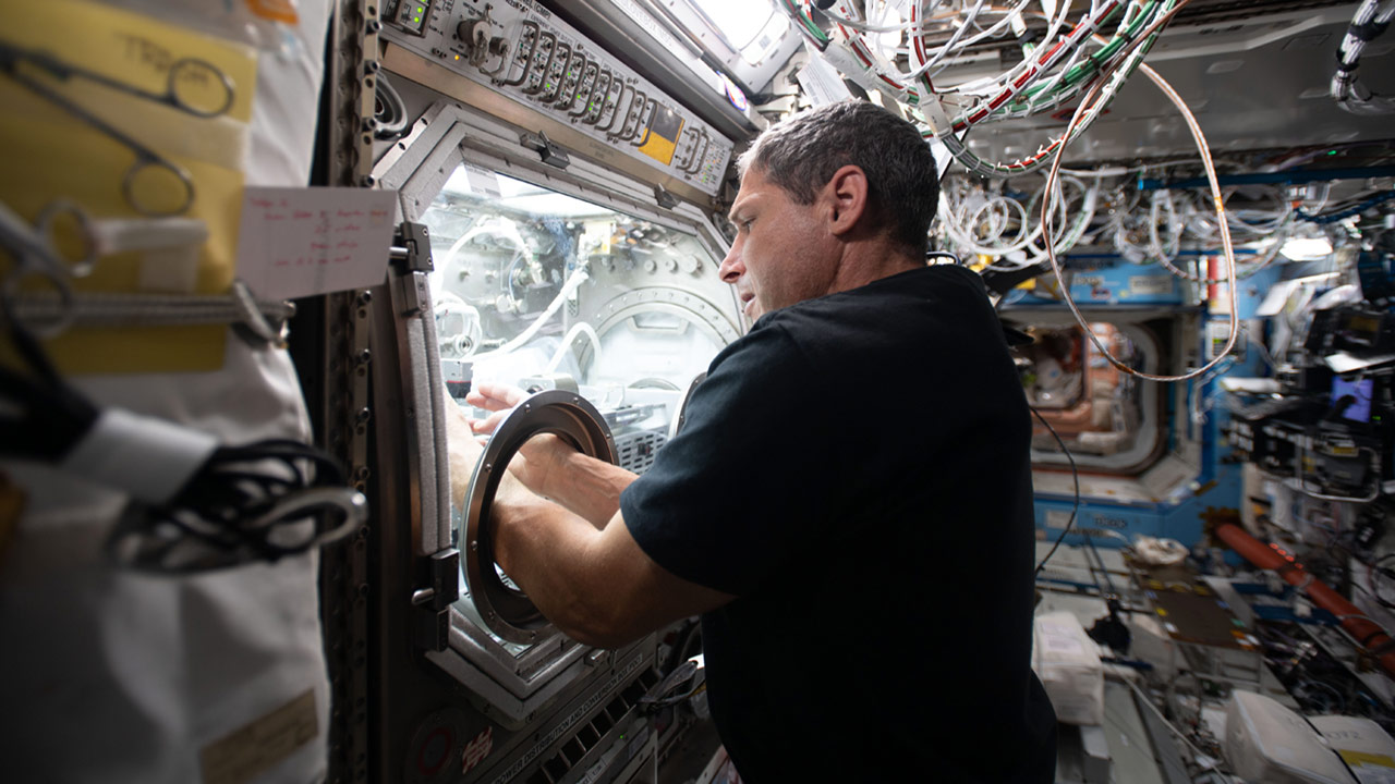 mike hopkins physical optics onstation