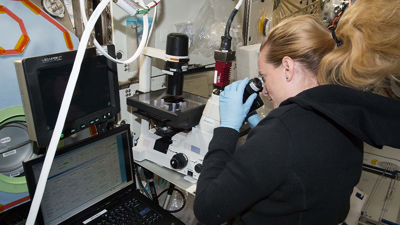 NASA astronaut Kate Rubins views cardiomyocytes in a microscope on the ISS